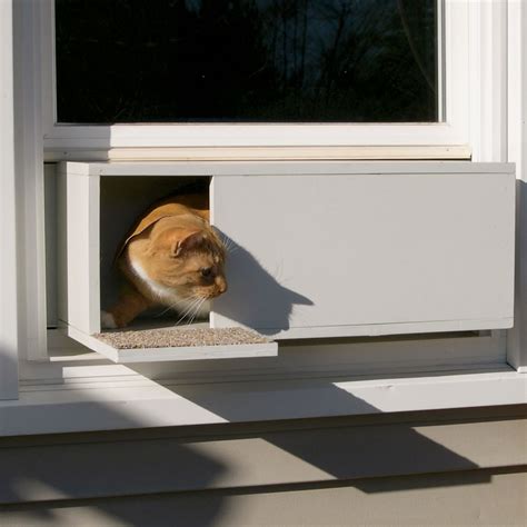Cat door for windows - 14. 1. 2023. ... 168 Likes, TikTok video from Elliott C Nathan (@elliottcnathan): “Lets make a cat-door window insert together!”. Window Door.